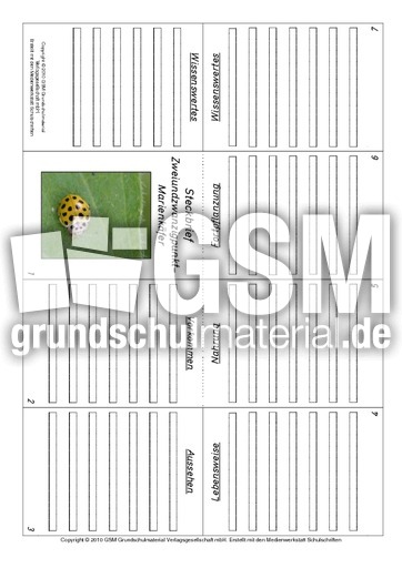 Faltbuch-Zweiundzwanzigpunkt-Marienkäfer.pdf